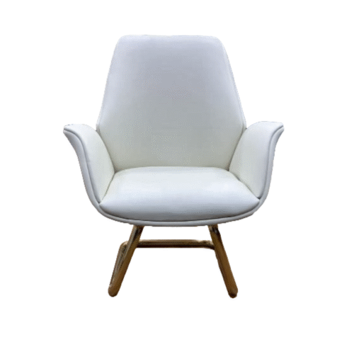 Modern Leather Wooden Chair