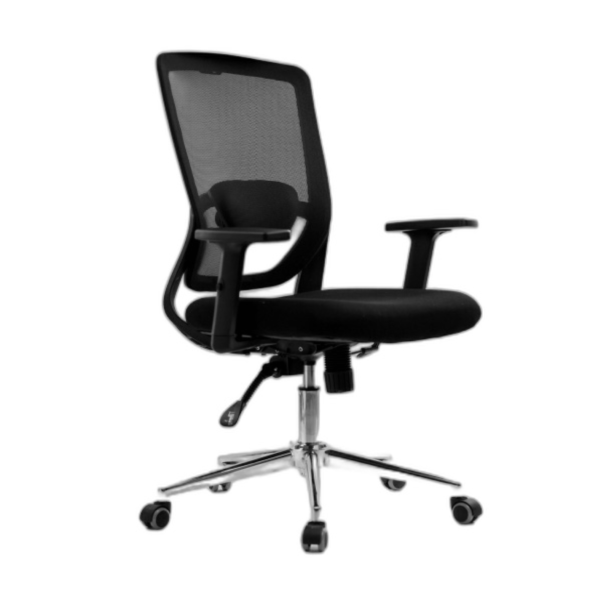 Ergonomics Office Chair Mesh Computer Desk Chair,Adjustable Headrests Chair Backrest and Armrest's Mesh Chair (Black)