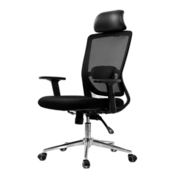 Ergonomics Office Chair Mesh Computer Desk Chair,Adjustable Headrests Chair Backrest and Armrest's Mesh Chair (Black)