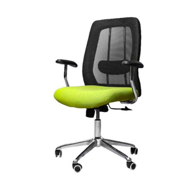 Ergonomic Black and green medical mesh chair with breathable material with a back support- green & black