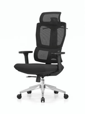 AeroFlex Mesh Executive Chair